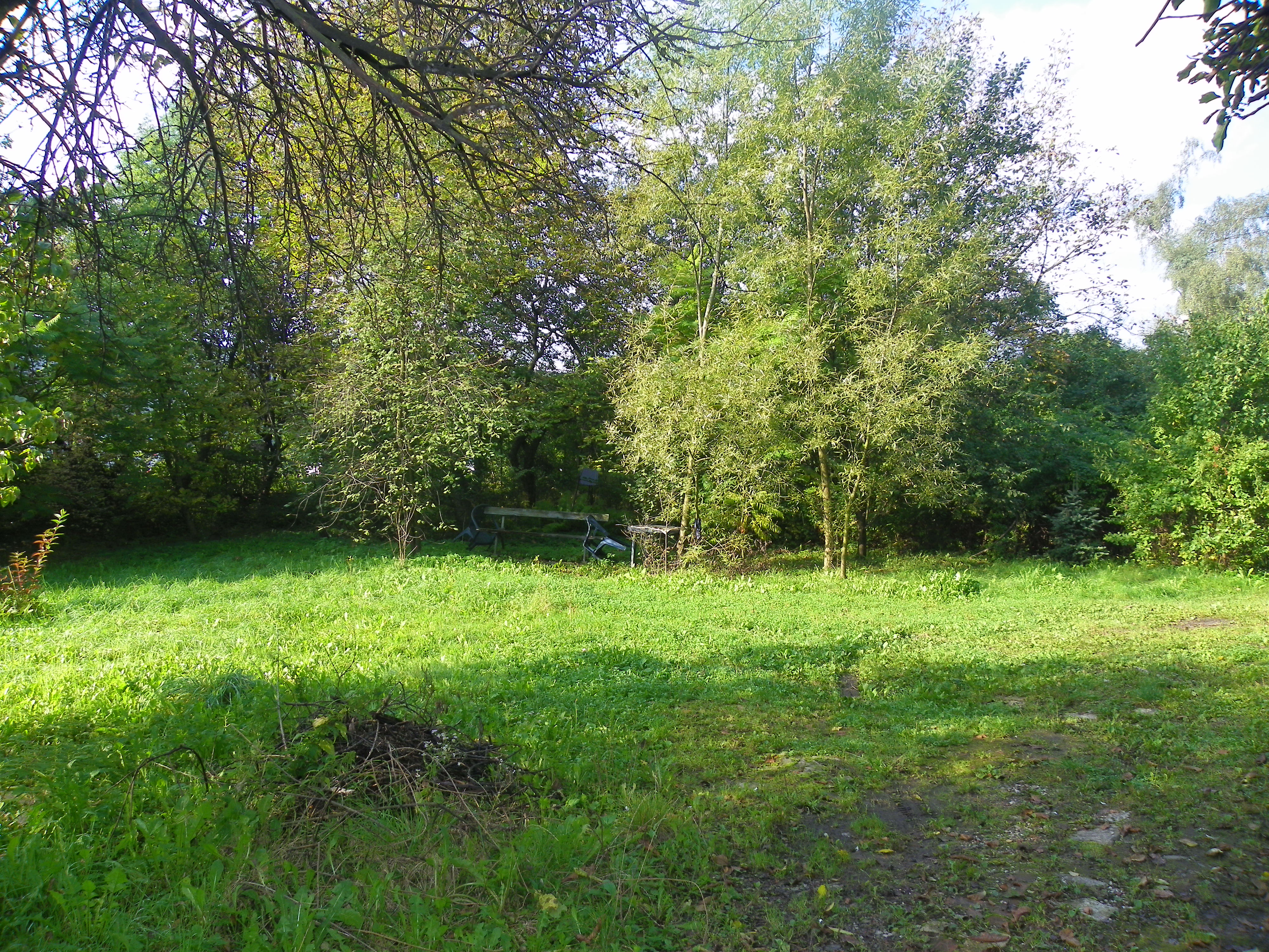 Zdjęcie nieruchomości niezabudowanej przy ul. Szlacheckiej