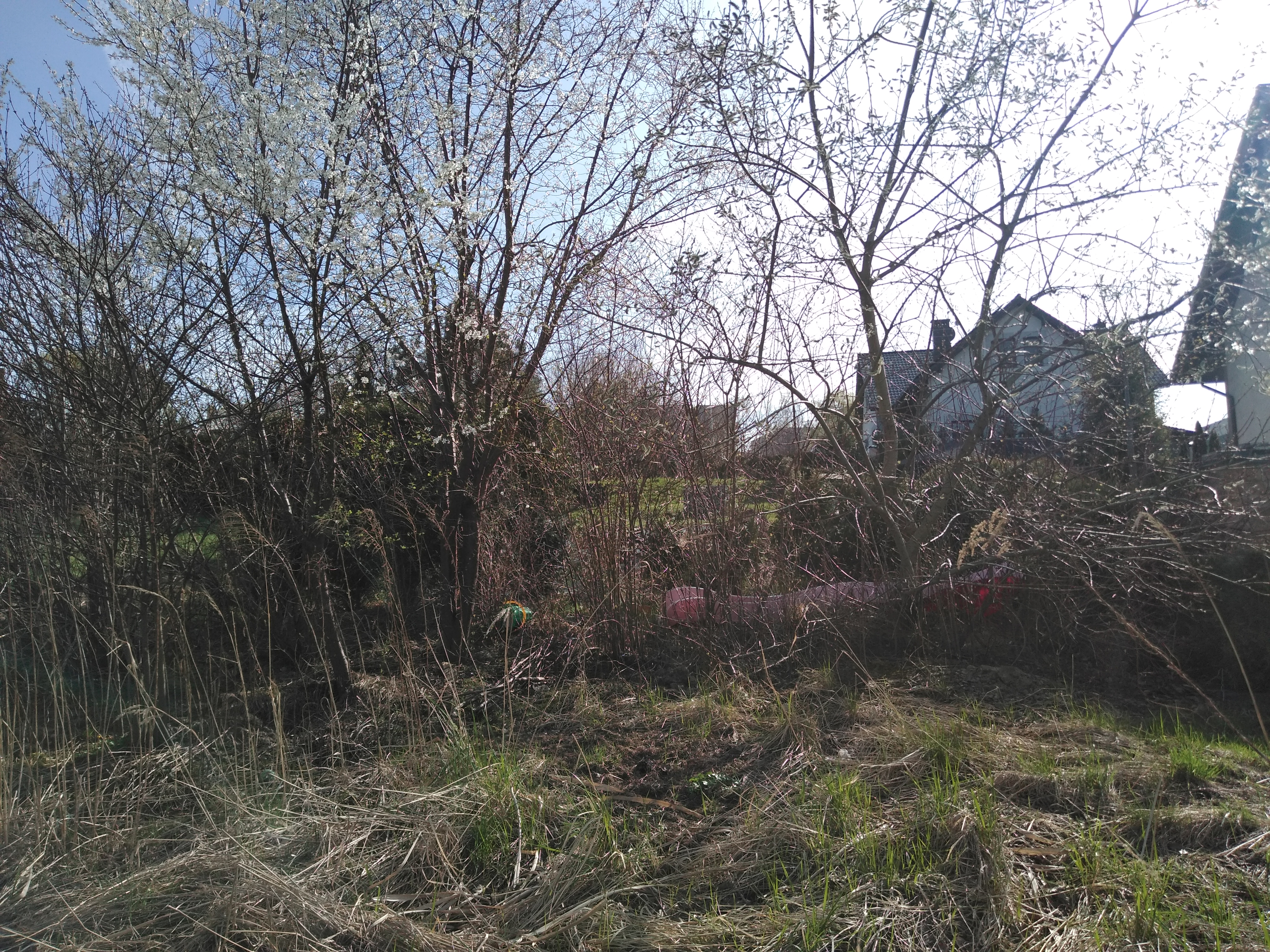 Zdjęcie nieruchomości przy ul. Helmuta Kajzara