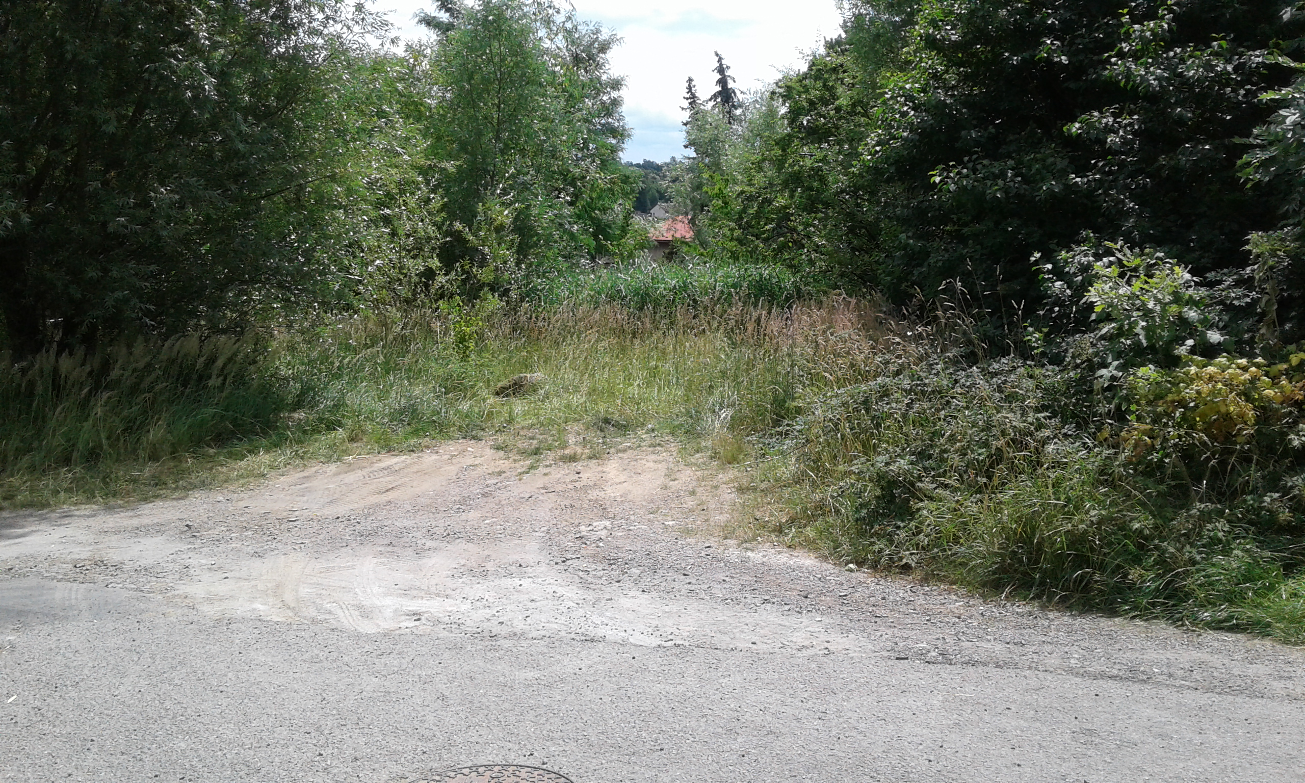 Zdjęcie nieruchomości przy ul. ks. Mateusza Opolskiego i drogi dojazdowej