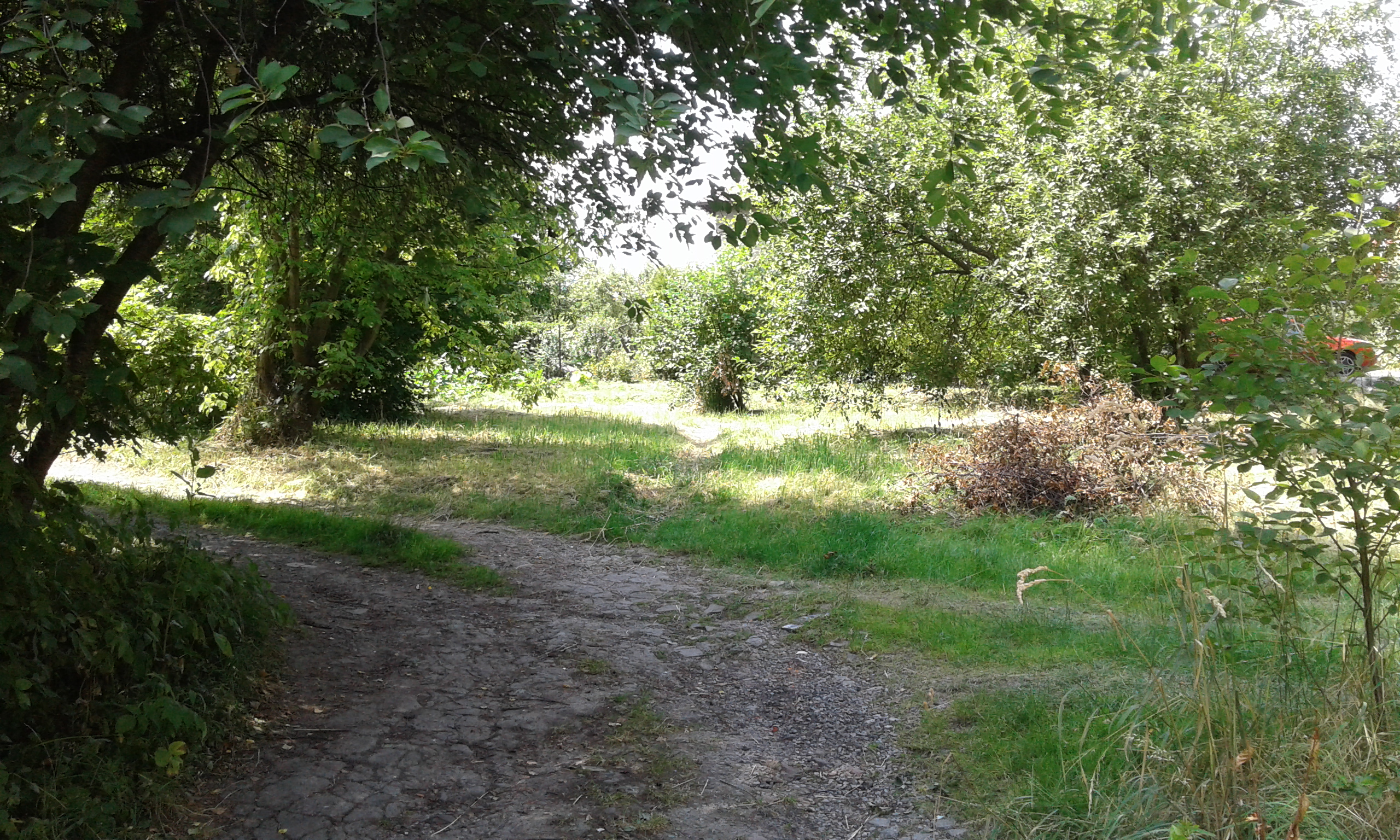 Zdjęcie nieruchomości niezabudowanej przy ul. Szlacheckiej