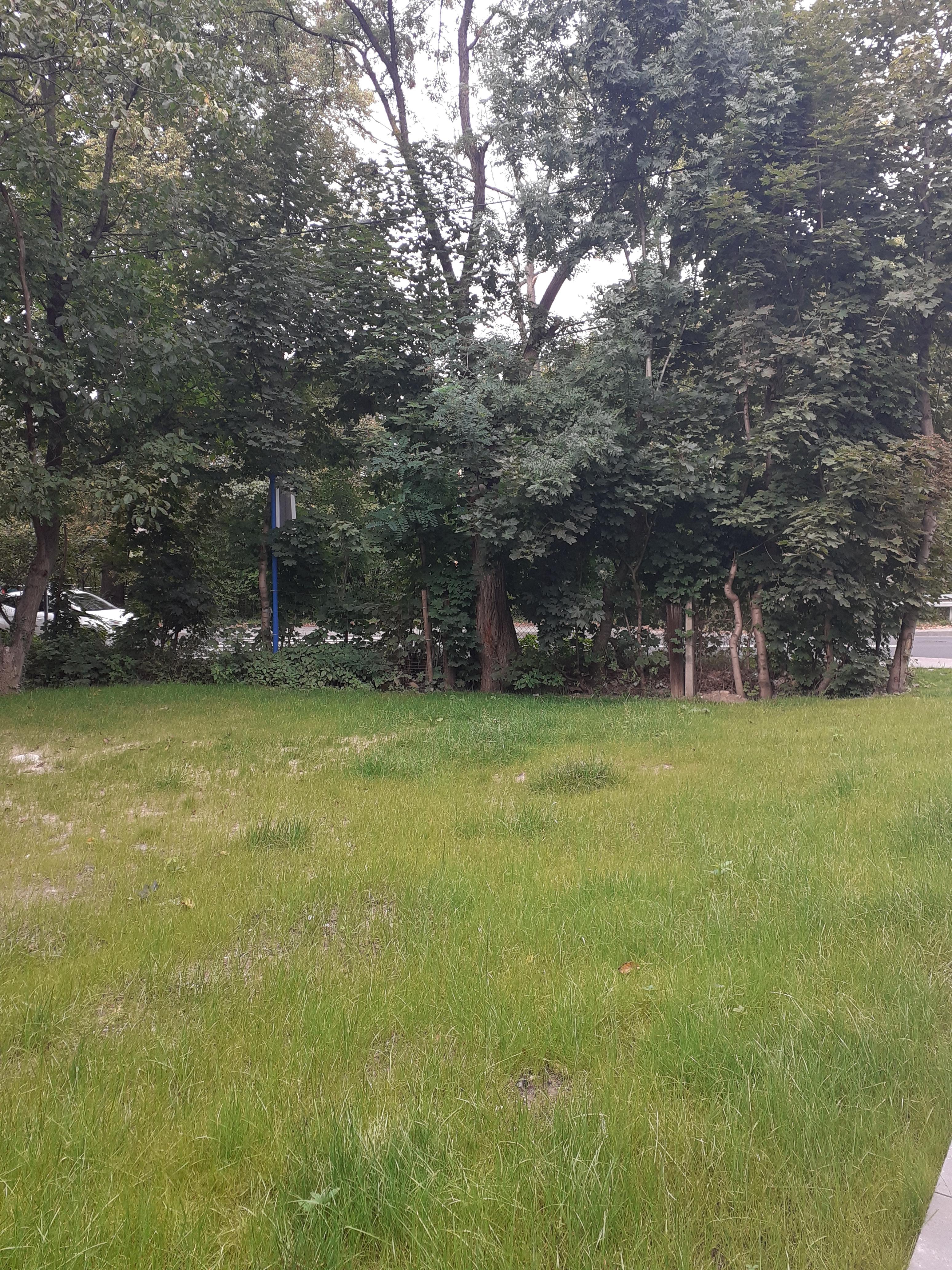 Zdjęcie działki niezabudowanej przy ul. Lipnickiej