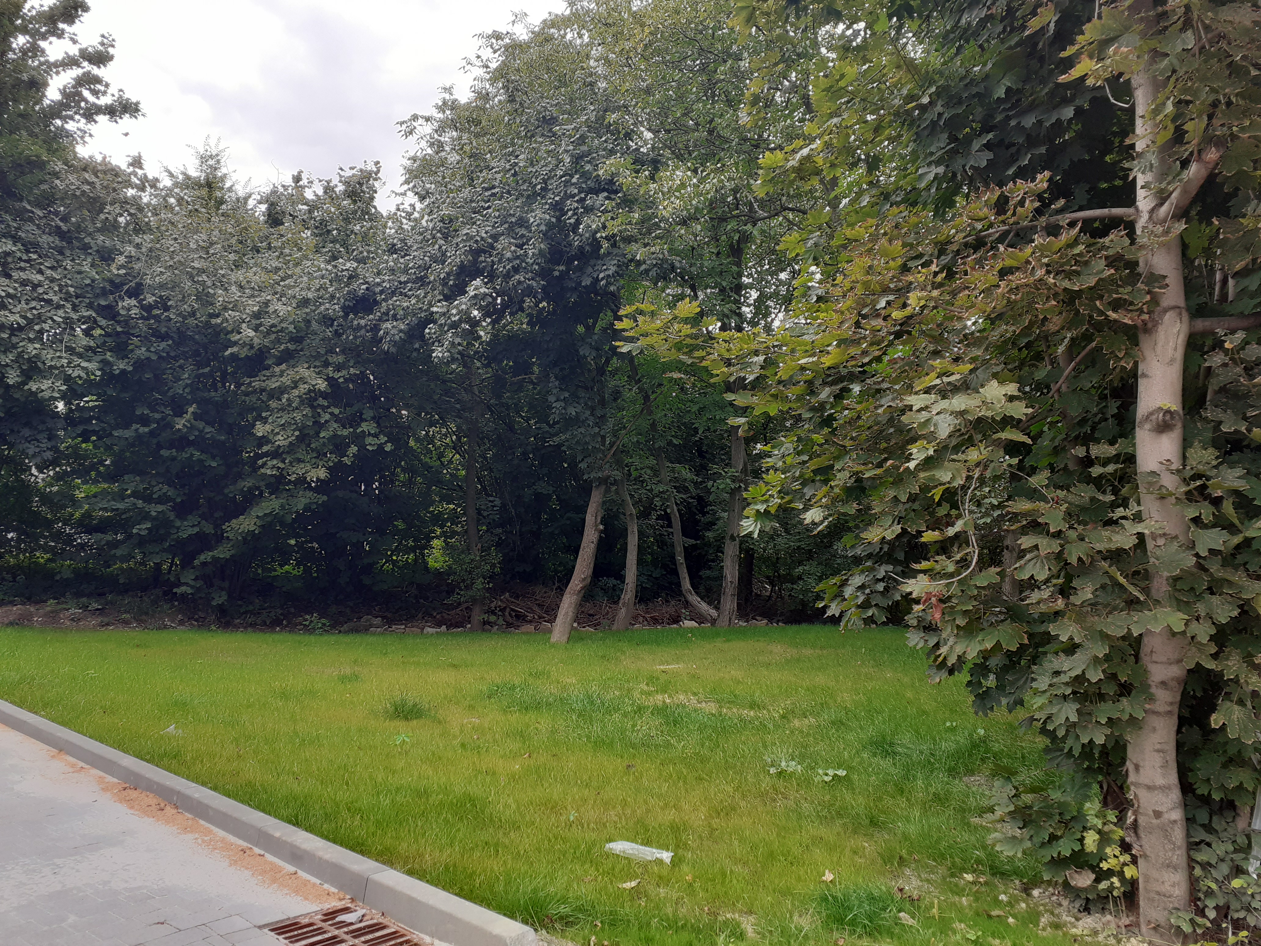 Zdjęcie działki niezabudowanej przy ul. Lipnickiej