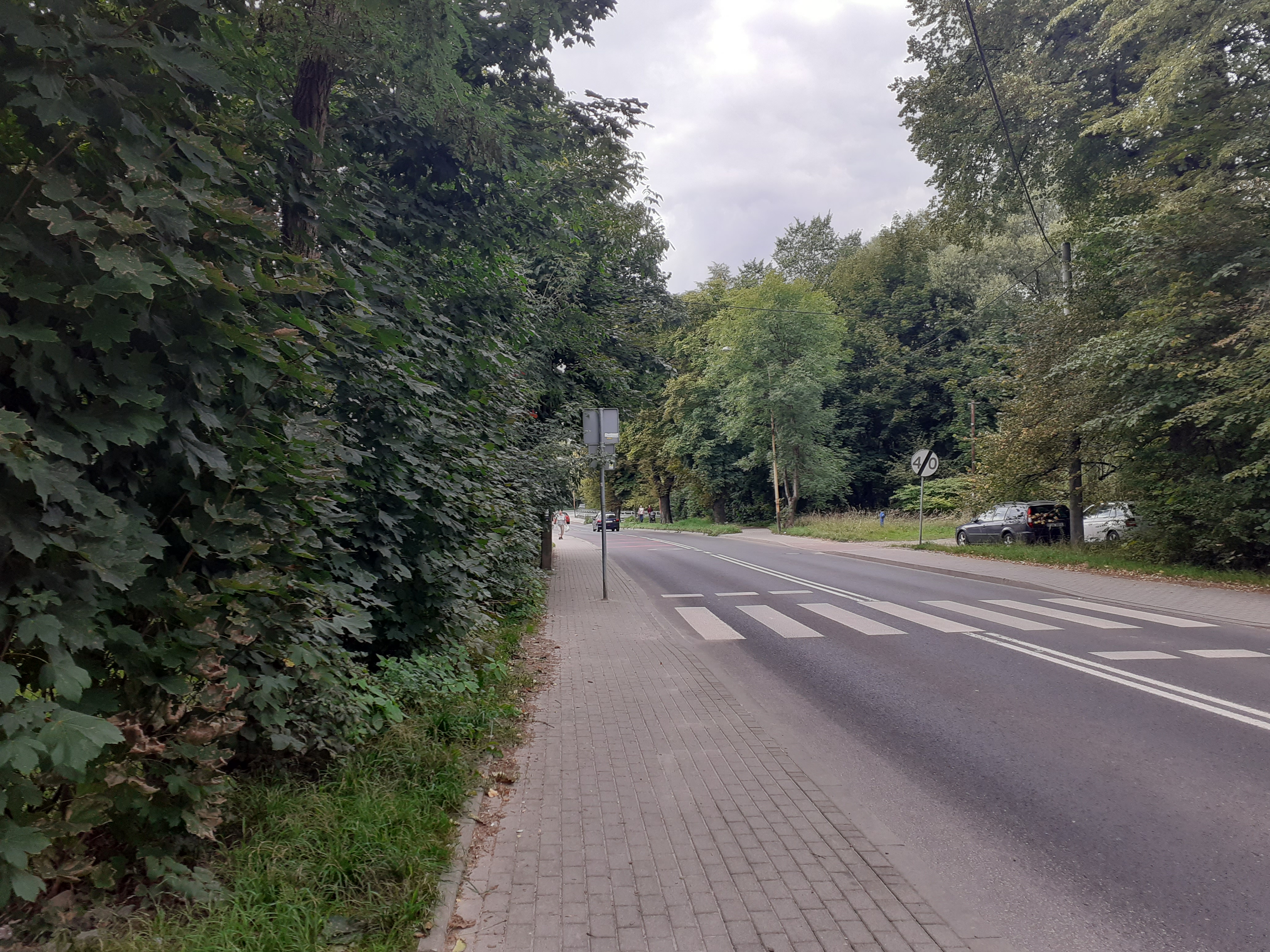 Zdjęcie działki niezabudowanej przy ul. Lipnickiej i biegnącej obok drogi