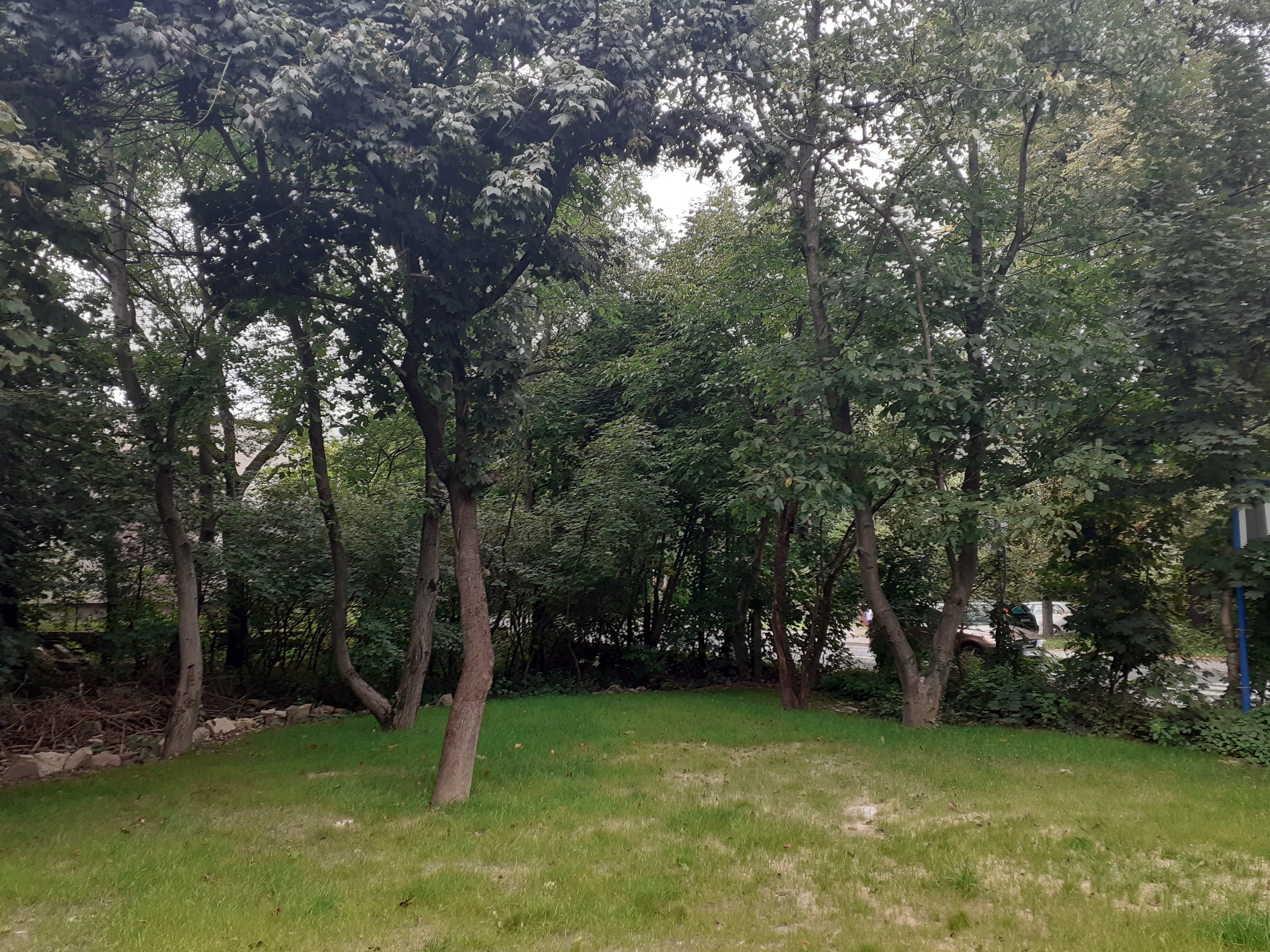 Zdjęcie działki niezabudowanej przy ul. Lipnickiej