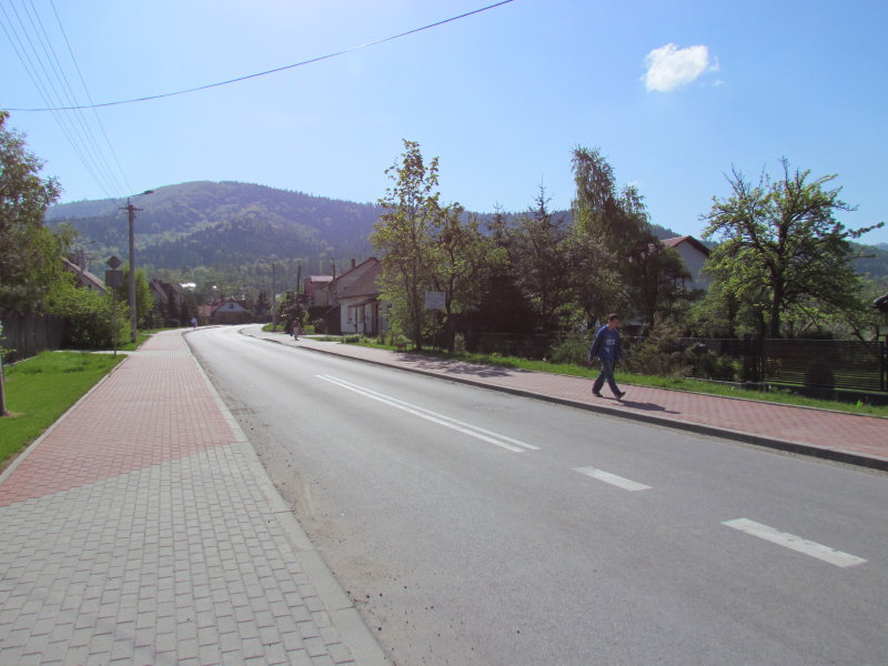 Przebudowa ul. Ks. Brzóski w Bielsku-Białej - na zdjęciu fragment drogi, pieszy, oraz zieleń