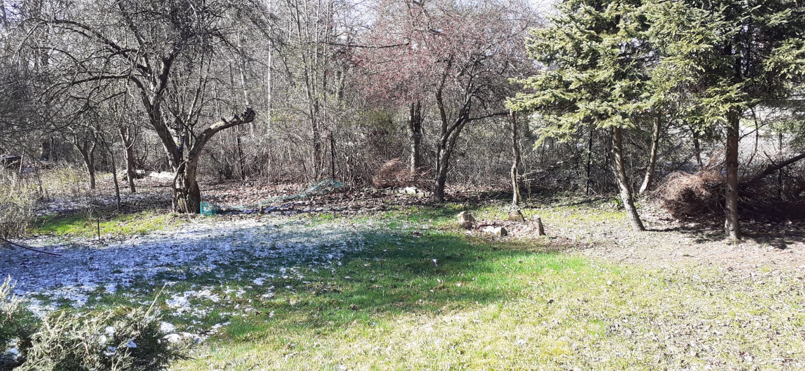 Zdjęcie nieruchomości zabudowanej budynkiem mieszkalnym wolnostojącym przy ul. Botanicznej 5