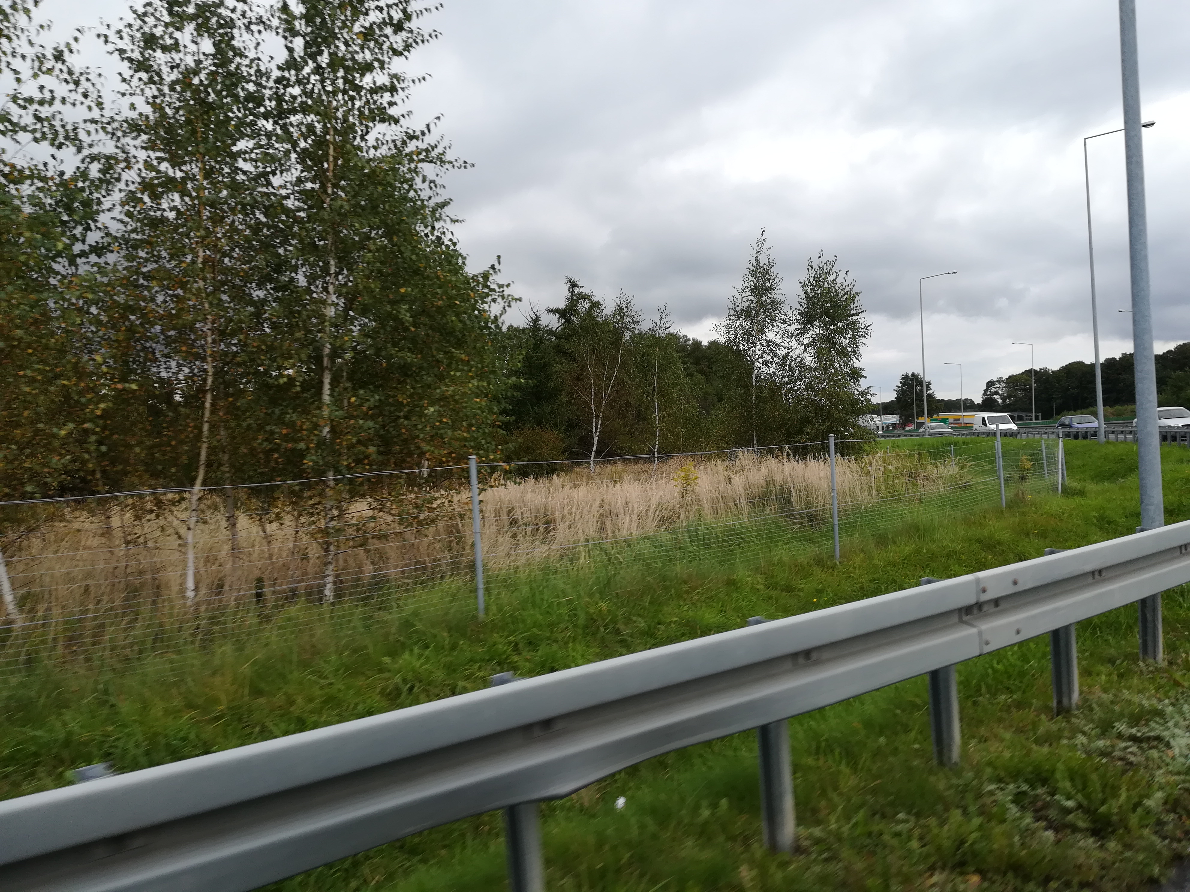 Zdjęcie działki niezabudowanej przy ul. Bohaterów Monte Cassino oraz Rudawka