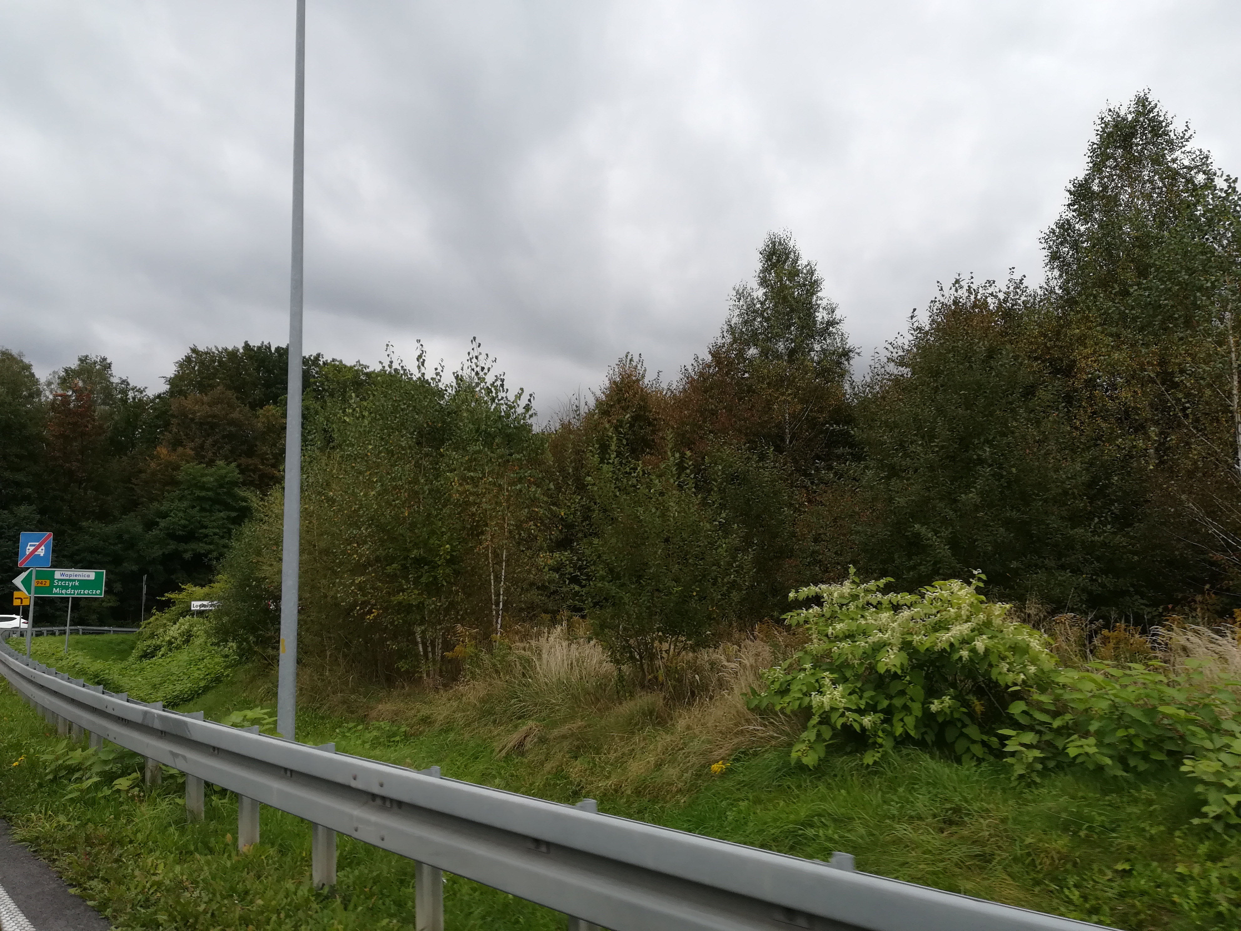 Zdjęcie działki niezabudowanej przy ul. Bohaterów Monte Cassino oraz Rudawka