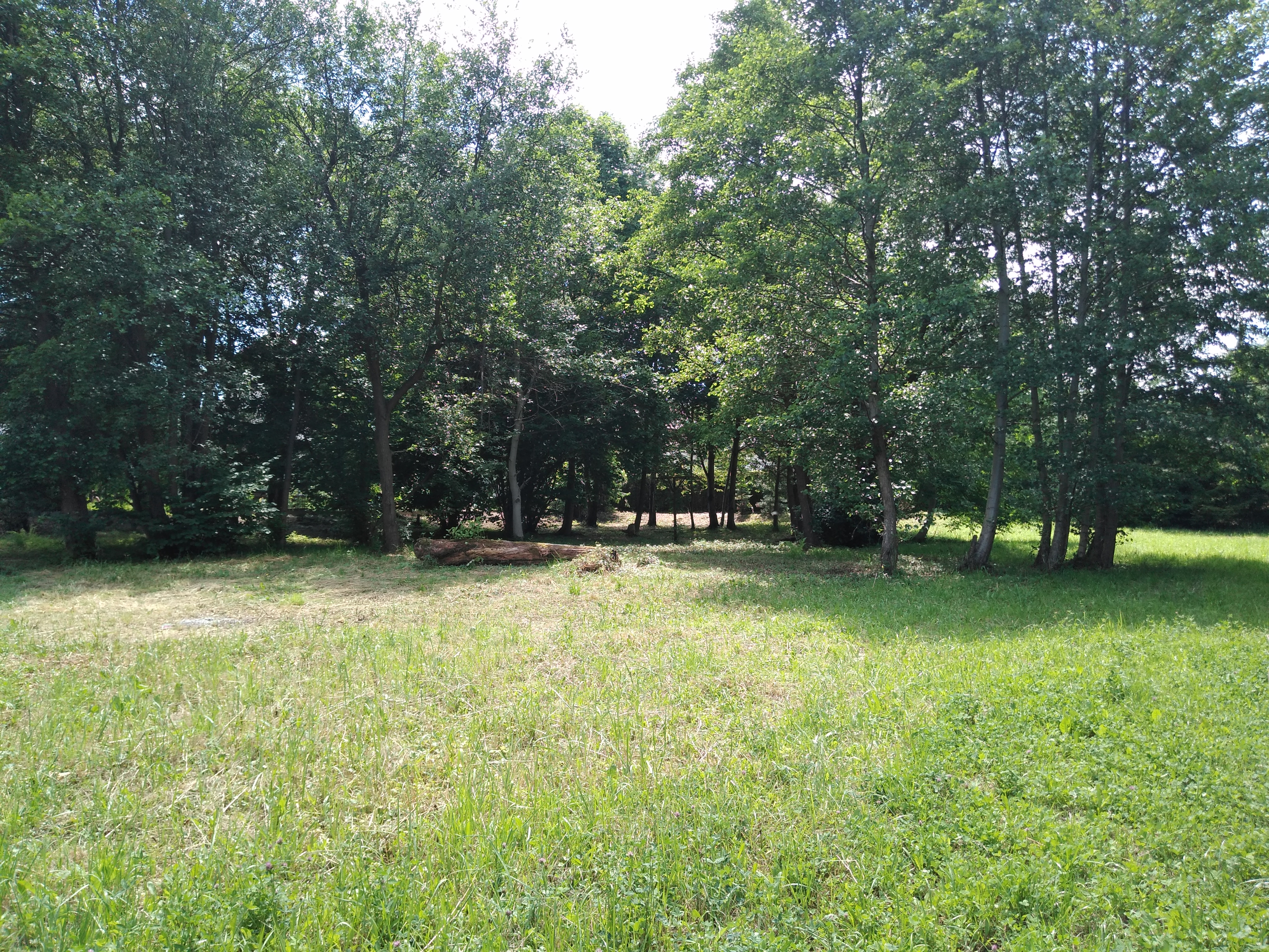 Zdjęcie nieruchomości niezabudowanej przy ul. Bukowej