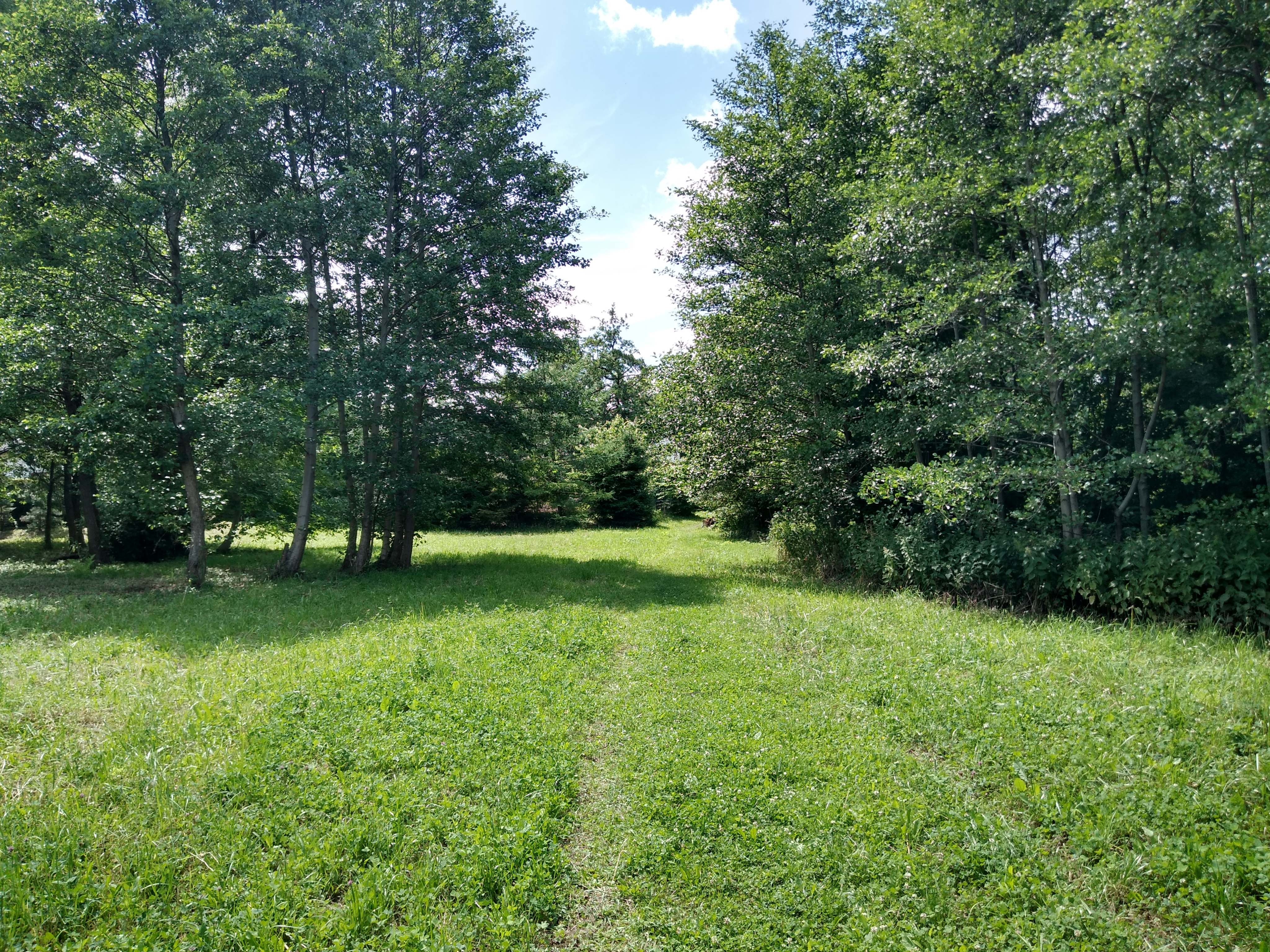 Zdjęcie nieruchomości niezabudowanej przy ul. Bukowej