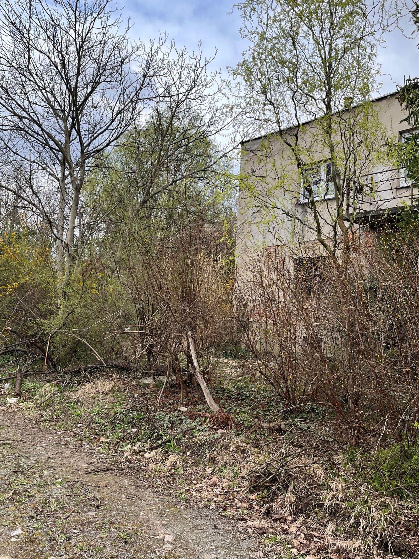 Zdjęcie nieruchomości zabudowanej budynkiem mieszkalnym wolnostojącym przy ul. Botanicznej 5