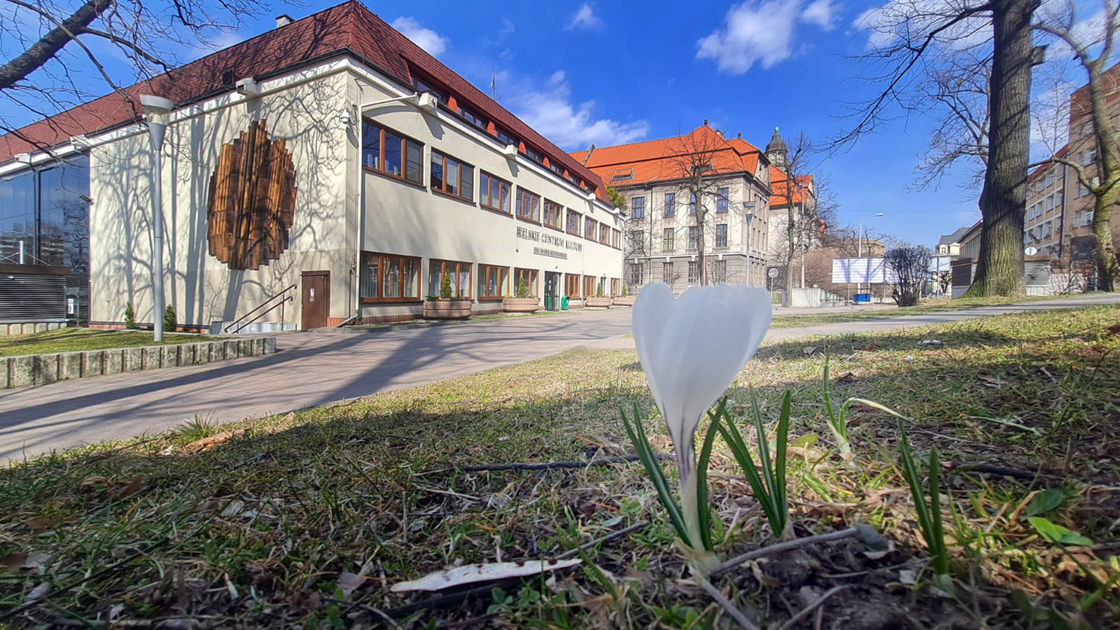 zdjęcie budynku Bielskiego Centrum Kultury im. Marii Koterbskiej