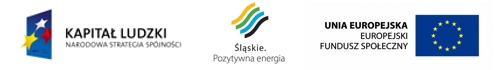 grafika przedstawiająca logo Programu Kapitał Ludzki, logo Województwa Śląskiego oraz logo Europejskiego Funduszu Społecznego