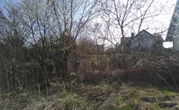 Zdjęcie nieruchomości przy ul. Helmuta Kajzara