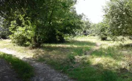 Zdjęcie nieruchomości niezabudowanej przy ul. Szlacheckiej