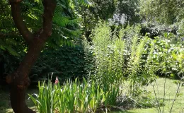 Zdjęcie nieruchomości niezabudowanej przy ul. Szlacheckiej