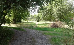 Zdjęcie nieruchomości niezabudowanej przy ul. Szlacheckiej