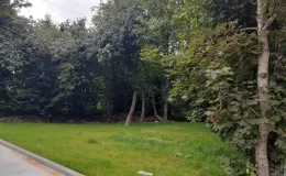 Zdjęcie działki niezabudowanej przy ul. Lipnickiej