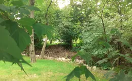 Zdjęcie działki niezabudowanej przy ul. Lipnickiej