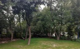 Zdjęcie działki niezabudowanej przy ul. Lipnickiej