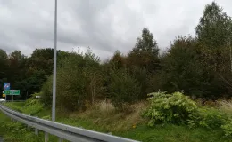 Zdjęcie działki niezabudowanej przy ul. Bohaterów Monte Cassino oraz Rudawka