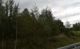 Zdjęcie działki niezabudowanej przy ul. Bohaterów Monte Cassino oraz Rudawka