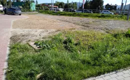 Zdjęcie nieruchomości przy ul. Dzwonkowej