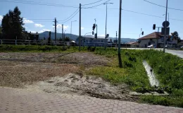 Zdjęcie nieruchomości przy ul. Dzwonkowej