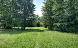 Zdjęcie nieruchomości niezabudowanej przy ul. Bukowej