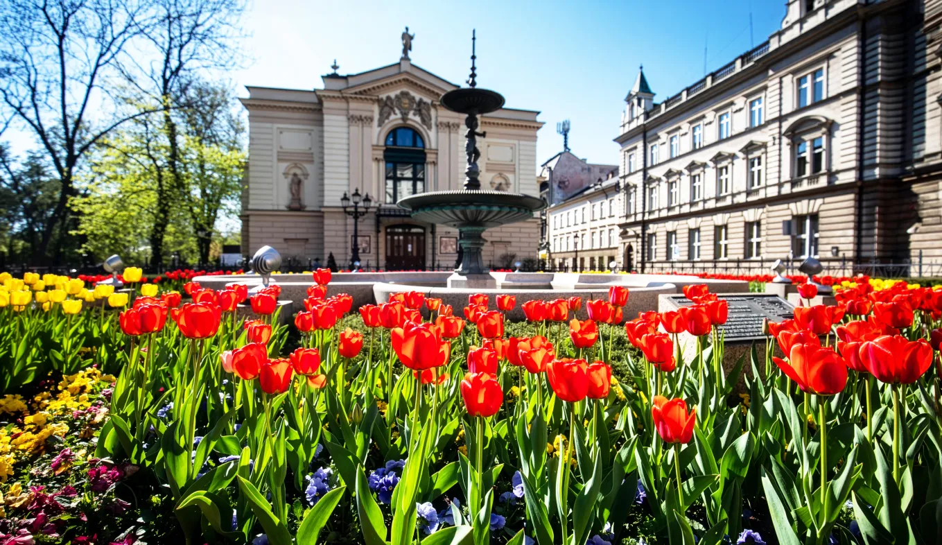 Zdjęcie przedstawiające kwiaty rosnące przy fontannie przed budynkiem Teatru Polskiego w Bielsku-Białej. W tel po prawej stronie widać również budynek Poczty Polskiej.  