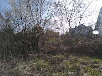 Zdjęcie nieruchomości przy ul. Helmuta Kajzara