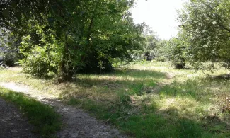 Zdjęcie nieruchomości niezabudowanej przy ul. Szlacheckiej