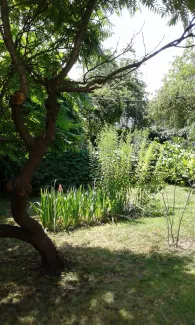 Zdjęcie nieruchomości niezabudowanej przy ul. Szlacheckiej