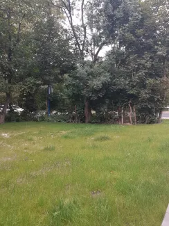 Zdjęcie działki niezabudowanej przy ul. Lipnickiej