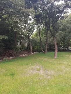 Zdjęcie działki niezabudowanej przy ul. Lipnickiej