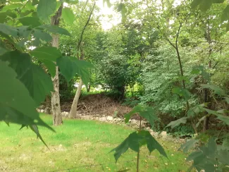 Zdjęcie działki niezabudowanej przy ul. Lipnickiej