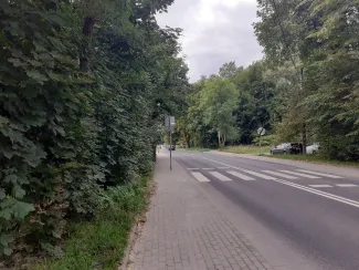 Zdjęcie działki niezabudowanej przy ul. Lipnickiej i biegnącej obok drogi