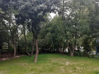 Zdjęcie działki niezabudowanej przy ul. Lipnickiej