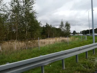 Zdjęcie działki niezabudowanej przy ul. Bohaterów Monte Cassino oraz Rudawka