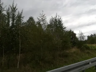 Zdjęcie działki niezabudowanej przy ul. Bohaterów Monte Cassino oraz Rudawka