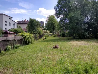 Zdjęcie nieruchomości niezabudowanej przy ul. Bukowej