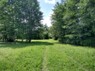 Zdjęcie nieruchomości niezabudowanej przy ul. Bukowej