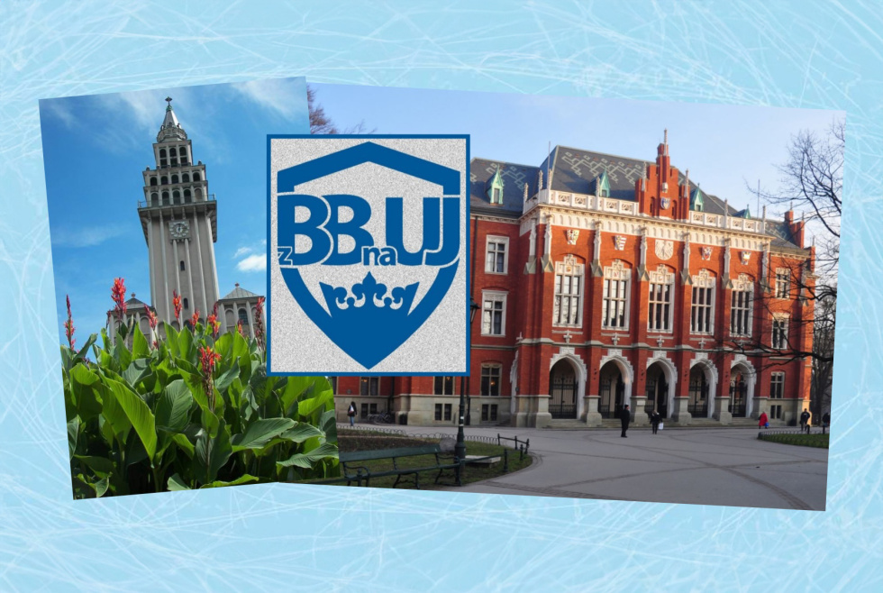 Na zdjęciu grafika informacyjna fundacji zBBnaUJ