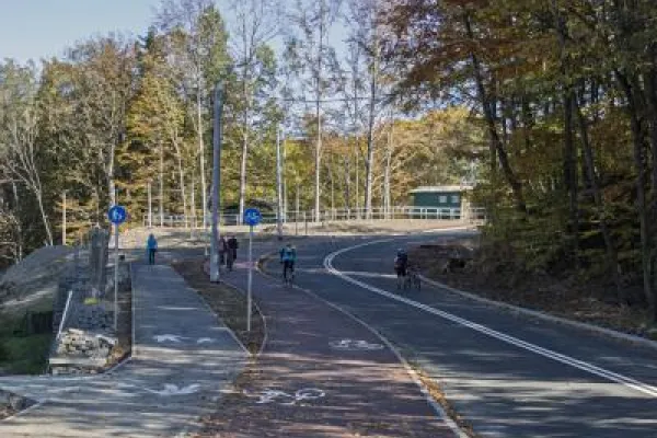 Zdjęcie przedstawiające drogę z wydzieloną ścieżką rowerową i pieszą w otoczeniu drzew.