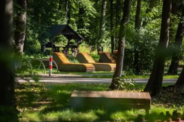 Zdjęcie przedstawiające leżaki i altanę ustawione w zacienionym miejscu w miejskim parku.