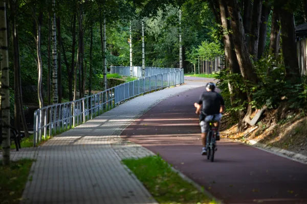 Zdjęcie przedstawiające ścieżkę rowerową i chodnik w otoczeniu drzew.